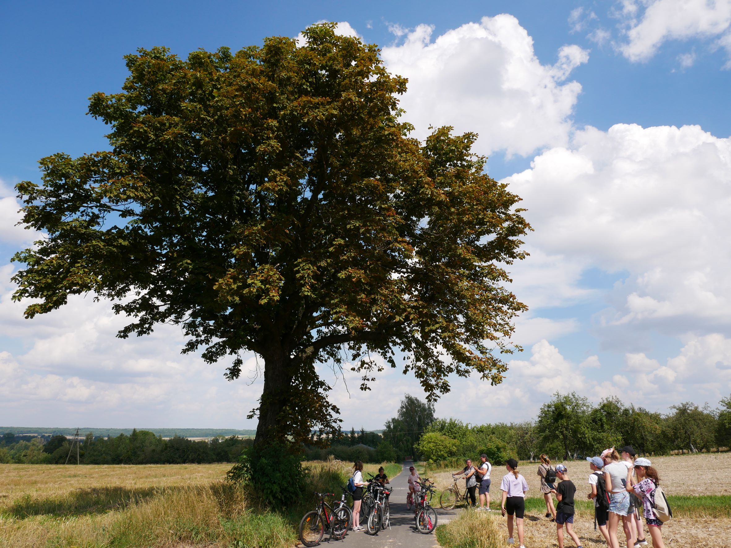 Podsumowanie projektu